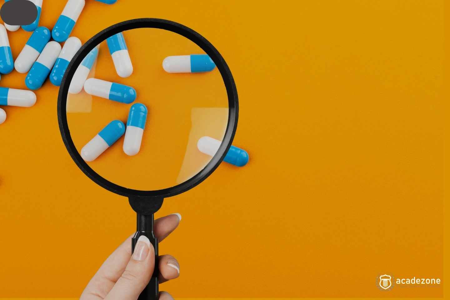 Klinik Çalışmalarda Uluslararası FDA E8 R1 Eğitimi